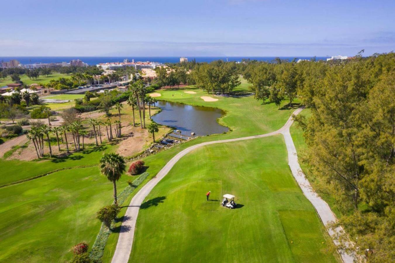 Luxury Suite Borinquen With Parking And Swimming Pool بلايا ذي لاس أميريكاس المظهر الخارجي الصورة